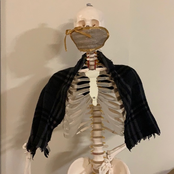 ✨AUTHENTIC BURBERRY SHOULDER SCARF🥂 - Picture 4 of 5